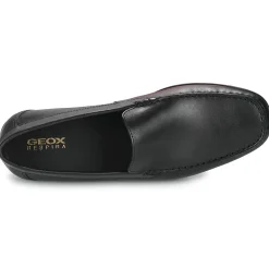 Geox - U ASCANIO Noir Best
