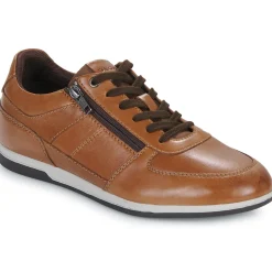 Clearance Geox - U RENAN Marron