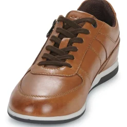 Clearance Geox - U RENAN Marron