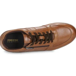 Clearance Geox - U RENAN Marron