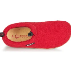 Giesswein - VENT Rouge Best