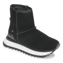 Gioseppo - AMQUI Noir