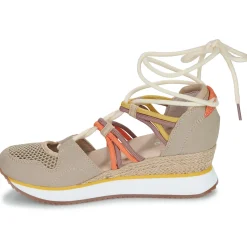 Gioseppo - IONA Online