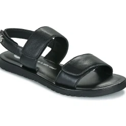 Gioseppo - REHOBOTH Noir Online