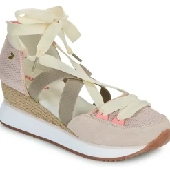 Gioseppo - SAMOBOR Online