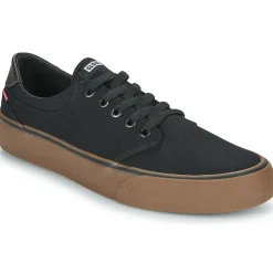 Globe - GOODSTOCK Sale