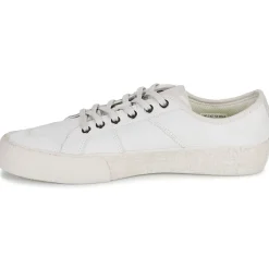 Globe - SURPLUS Blanc New