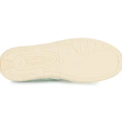 Gola - FALCON Online