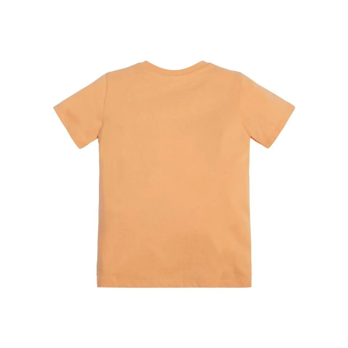 Guess - SS TSHIRT CORE