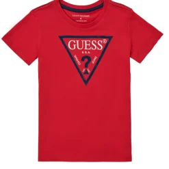 Guess - THERONN