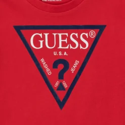 Guess - THERONN