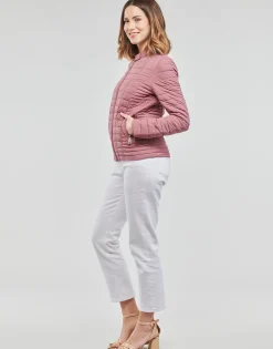 Hot Guess - VONA JACKET Rose