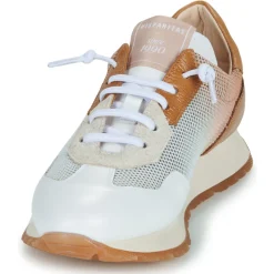 Hispanitas - KANSAS-BHV25386