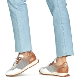 Hispanitas - KANSAS-BHV25386