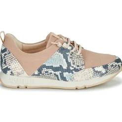 Clearance Hispanitas - KIOTO