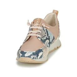 Clearance Hispanitas - KIOTO