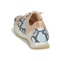 Clearance Hispanitas - KIOTO