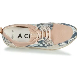 Clearance Hispanitas - KIOTO