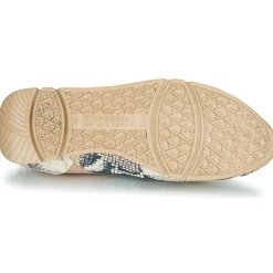 Clearance Hispanitas - KIOTO