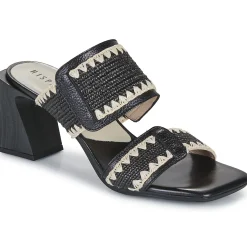 Hispanitas - MIAMI-HV253946