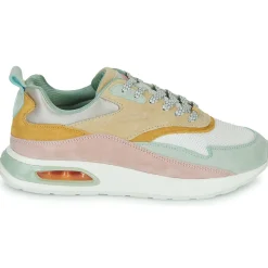 HOFF - GRIFFITH Discount