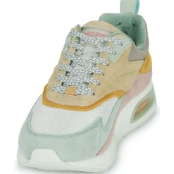 HOFF - GRIFFITH Discount