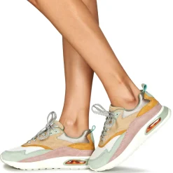 HOFF - GRIFFITH Discount