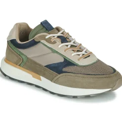 HOFF - SENTINEL Online