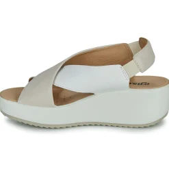 Sale IgI&CO - 5668811