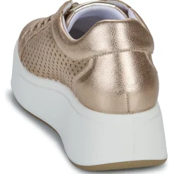 Outlet IgI&CO - D.ALLY Doré