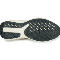 IgI&CO - D.KAIZEN & GTX