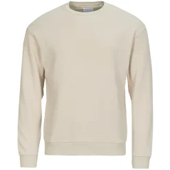 Jack & Jones - JJEBRADLEY SWEAT CREW Beige Clearance