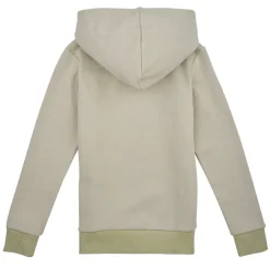 Jack & Jones - JJELOGO SWEAT HOOD 2 COL 24 SNJNR Vert