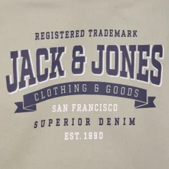 Jack & Jones - JJELOGO SWEAT HOOD 2 COL 24 SNJNR Vert