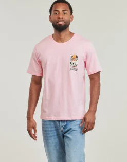 Jack & Jones - JORSEVEN Rose Outlet