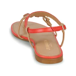 JB Martin - AISSA Online