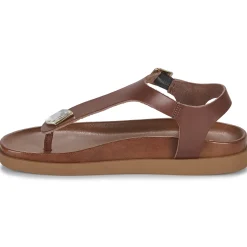 Online JB Martin - ALEO BUFFLECAMEL