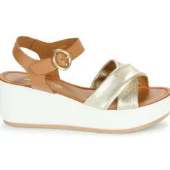 New JB Martin - AMBRE Métaldoré