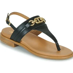 JB Martin - ARTISTE VEAUNOIR