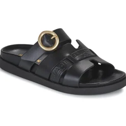 New JB Martin - AUBE Veaunoir