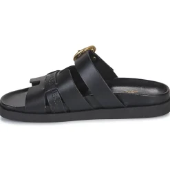 New JB Martin - AUBE Veaunoir