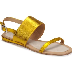 New JB Martin - AVERY Sun