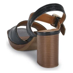 JB Martin - DYNAS Vernisnoir