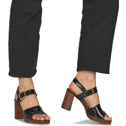 JB Martin - DYNAS Vernisnoir