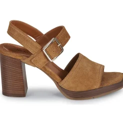 JB Martin - DYNAS Croûtecamel Discount