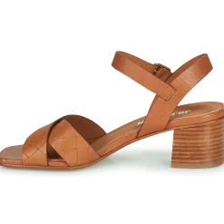 JB Martin - ELISE VEAUCAMEL