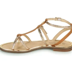 JB Martin - GRIOTTES