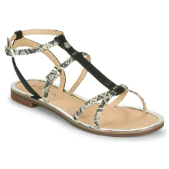 JB Martin - GRIOTTES Discount