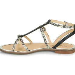 JB Martin - GRIOTTES Discount