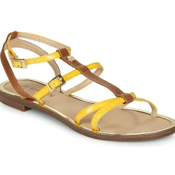 JB Martin - GRIOTTES Discount